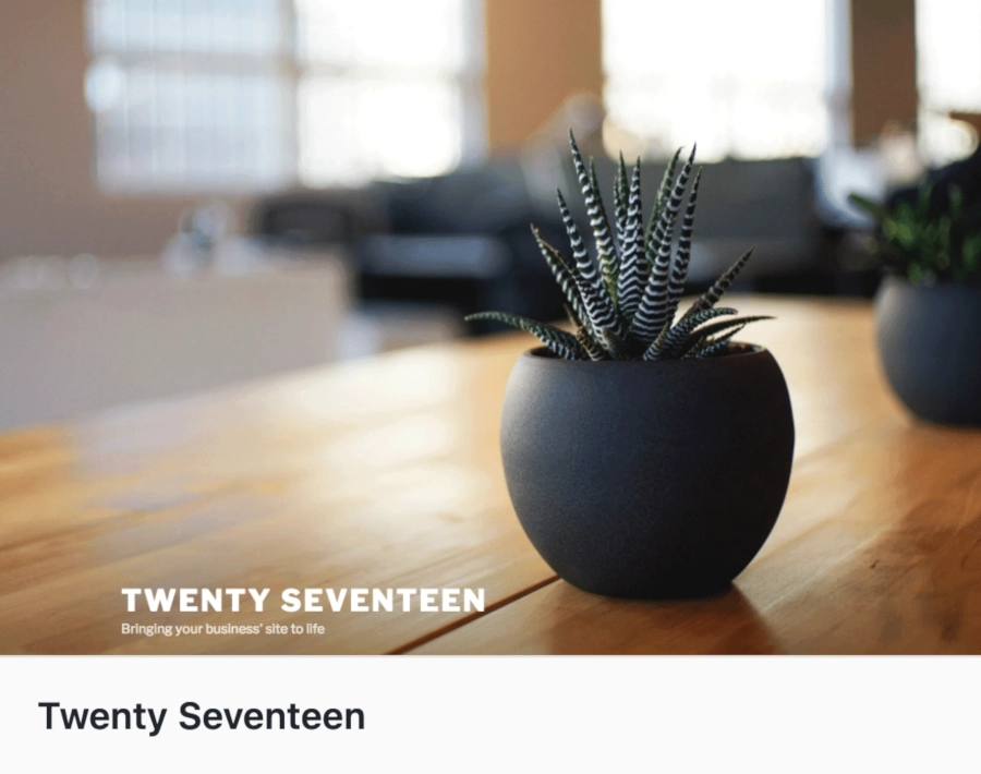 wordpress hemsida tema-twenty-seventeen-w900